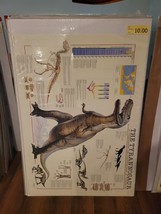 T-Rex-Details-26.5x39 Science Poster - $9.00