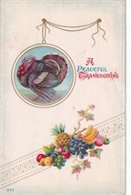 Peaceful Thanksgiving Turkey and Fruit Harvest Postcard E05 - £3.13 GBP