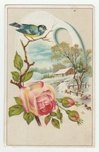Vintage Postcard Blue Bird Rose Cottage in Snow Embossed Undivided Back - £7.13 GBP