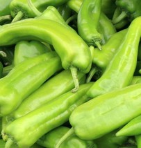 Anaheim Chile Pepper Seeds 100+ Vegetable NonGMO Heirloom - $9.00