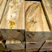 TWO (2) B-GRADE KILN DRIED BASSWOOD BLANKS LUMBER WOOD LATHE 5&quot; X 5&quot; X 12&quot; - £22.30 GBP