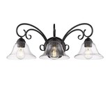 Golden Lighting Homestead 3-Light 24&quot;W Black Bath Vanity with Clear Glass - $113.75