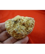 (k-3047) 55 g Rare Kauri tree Gum copal young Amber New Zealand Tane Mahuta - €61,22 EUR