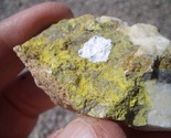 TYUYAMUNITE URANIUM   1.5oz  40,000 CPM  JURASSIC CANYON APRIL 2018 $28.... - $28.00