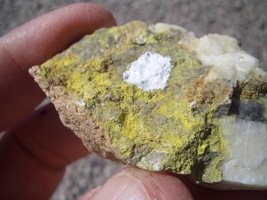 TYUYAMUNITE URANIUM   1.5oz  40,000 CPM  JURASSIC CANYON APRIL 2018 $28.... - £21.86 GBP