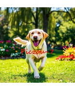Digital Image Ai Picture Photo Wallpaper Background Desktop Art Happy Dog - $18.15 MXN