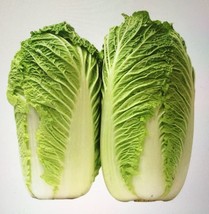 SR12Store 200 Chinese Cabbage Seeds F1Hybrid Big Heading Cabbage Bok Choy US Pro - £6.43 GBP