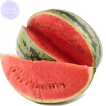 BELLFARM Pink Watermelon Improved Professional 20 thin skin mushy sweet tasty... - $10.78