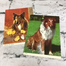 Collie Dog Chicks Poconos Mountains Vintage Postcard Lot Of 2 Scalloped Edges - £7.77 GBP