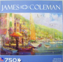 James Coleman Puzzle - Afternoon Serenity - $5.00