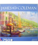 James Coleman Puzzle - Afternoon Serenity - £3.99 GBP