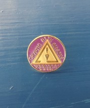 The Ever Cryptic Masons - Western Canada Pin -- Too Awesome not to own - $15.00