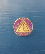 The Ever Cryptic Masons - Western Canada Pin -- Too Awesome not to own - €12,93 EUR