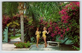 Weeki Wachee Mermaids Florida Postcard Ladies In Swim Suits Garden Patio Unused - £9.84 GBP