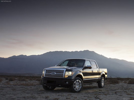 Ford F-150 Platinum 2009 Poster 24 X 32 | 18 X 24 | 12 X 16 #CR-1287126 - $19.95+