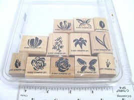 Watercolor Minis Stampin Up Rubber Stamp Set - Butterfly Flower Two Step Leaf Se - $6.00