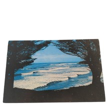 Postcard East Cliff Drive Ocean Waves Santa Cruz California Chrome Unposted - $6.92