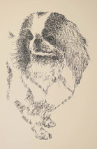 Japanese Chin Dog Art Portrait Print #27 Kline adds dog name free. WORD DRAWING - £40.05 GBP