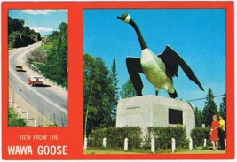 Postcard View From The Wawa Goose Wawa Ontario - £2.28 GBP