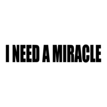 I NEED A MIRACLE Vinyl Decal Sticker The Grateful Dead Weir Garcia Compa... - £3.89 GBP+