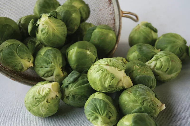 500 Churchill Brussels Sprouts Seeds for Garden Planting - £4.31 GBP
