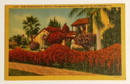 Flame Vine Hedge Home Saint Petersburg Florida FL Curt Teich Linen Postc... - £3.98 GBP