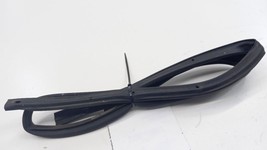 Sentra On Door Seal Rubber Right Passenger Rear Back 2006 2005 2004 2003 2002... - £33.77 GBP