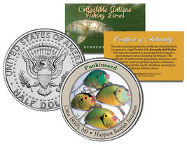 PUNKINSEED * Collectible Antique Fishing Lures * JFK Kennedy Half Dollar... - €10,56 EUR