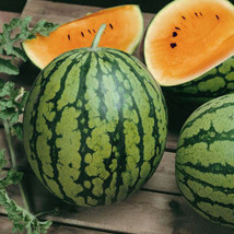 HeirloomSupplySuccess 25 Heirloom Tendergolden Watermelon seeds - £3.17 GBP