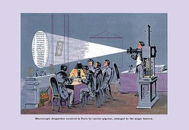 The Magic Lantern - $19.97