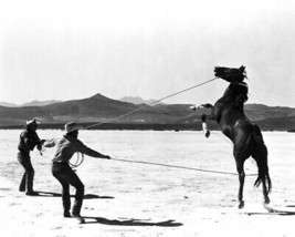 The Misfits Clark Gable Montgomery Clift rope horses in desert 12x18  Poster - £15.71 GBP