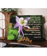 8x10&quot; Isaiah 58:11, Columbine Flower Glossy Photo Print Mounted with Bla... - £23.59 GBP