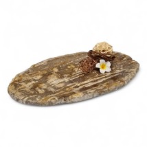 Petrified Wood Decor Bowl Tray Key Jewelry Plate Natural Stone - $1,857.08 MXN