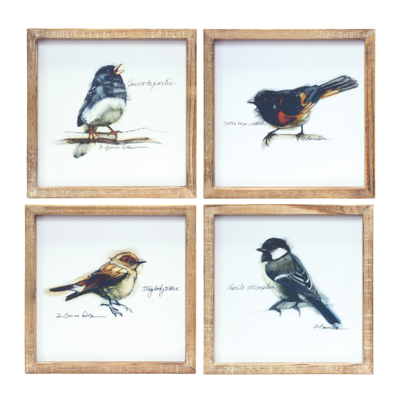 Wood Framed Bird Art Print (Set of 4) Item image 5