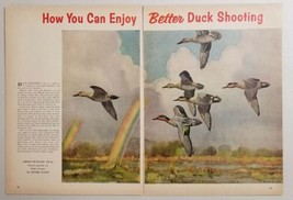 1956 Magazine Picture Green-Winged Teal Ducks in Flight by Artist Peter Scott - £10.03 GBP