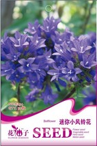 5 Packs Purple Mini Belflowelr Seeds, Perennial Herb, Outdoor Gardening for Hous - £9.18 GBP