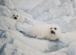 Peace On Ice, Signed and Numbered Art Print by Charles Frace (Harp Seals) - £123.88 GBP