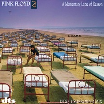Pink Floyd  A Momentary Lapse Of Reason DTS-CD  Learning To Fly + 4 Bonus Tracks - £12.78 GBP