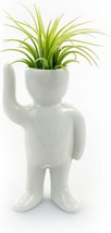 Air Plant Holders And Tabletop Display Planters For Air Plants And Other - £30.33 GBP