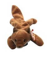 TY Beanie Babie Sly The Fox 11 inches DOB 9/12/1996 - $8.95