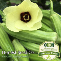 SEPTH 100+ Clemson Spineless Okra Seeds Non-GMO Heirloom | USA Grown - £6.47 GBP