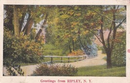 Ripley New York NY Greetings From 1934 to Caney KS Postcard C59 - £2.39 GBP