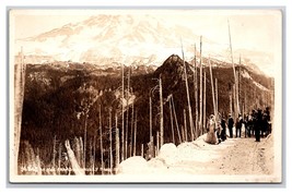 RPPC Horse Drawn Cart on Road Through Paradise Valley Mt Rainier WA Postcard Y15 - £18.94 GBP