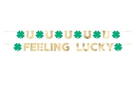 Feeling Lucky Horseshoe Shamrock 2 Pc Banner Set St Patrick&#39;s Day - £4.74 GBP