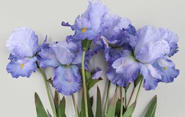 Big Real Touch artificial iris flowers blue silk iris home decor flower ... - $18.95 CAD