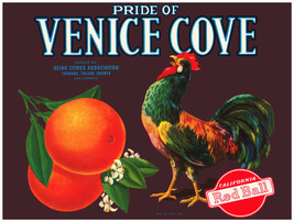 18x24&quot;Decoration Poster.Interior room design art.Venice Cove rooster cock.6430 - £16.34 GBP