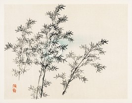 13048.Wall Decor Poster.Oriental home design.Kono Bairei Japan art.Bamboo trees - £12.94 GBP+