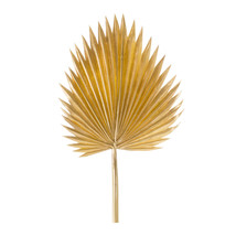 Fan Palm Leaf 37&quot;H Plastic - £111.01 GBP