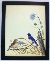 Audubon Bluebird Bird Nature Print 11 X 14 Wall Decor Wildlife- Black Frame - £25.94 GBP