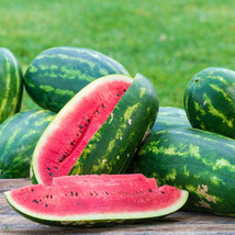 HS  50+ Sangria Watermelon Seeds For Garden Planting - USA  - £5.34 GBP